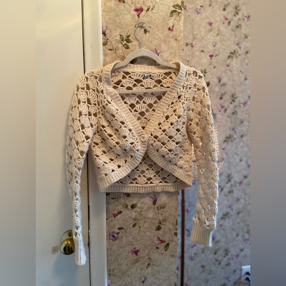 American eagle cardigan crop top